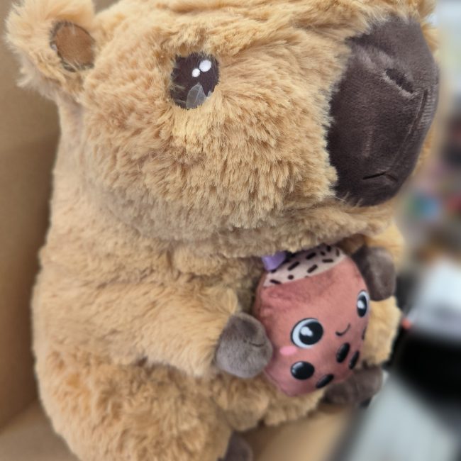 peluche